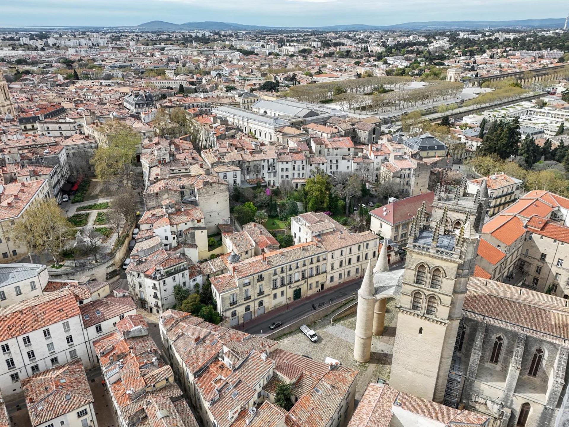 La Terrasse, Vue Sur Les Toits De Montpellier Lägenhet Exteriör bild
